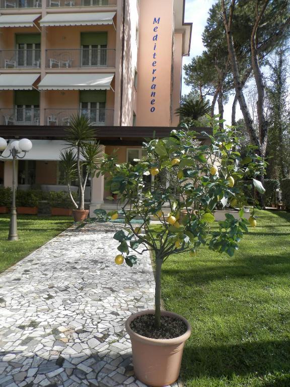 Hotel Mediterraneo Marina di Pietrasanta Kültér fotó
